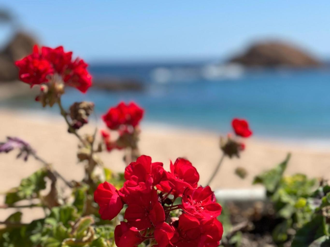 Ático con Vistas al Mar a un Paso del Centro Apartamento Blanes Exterior foto