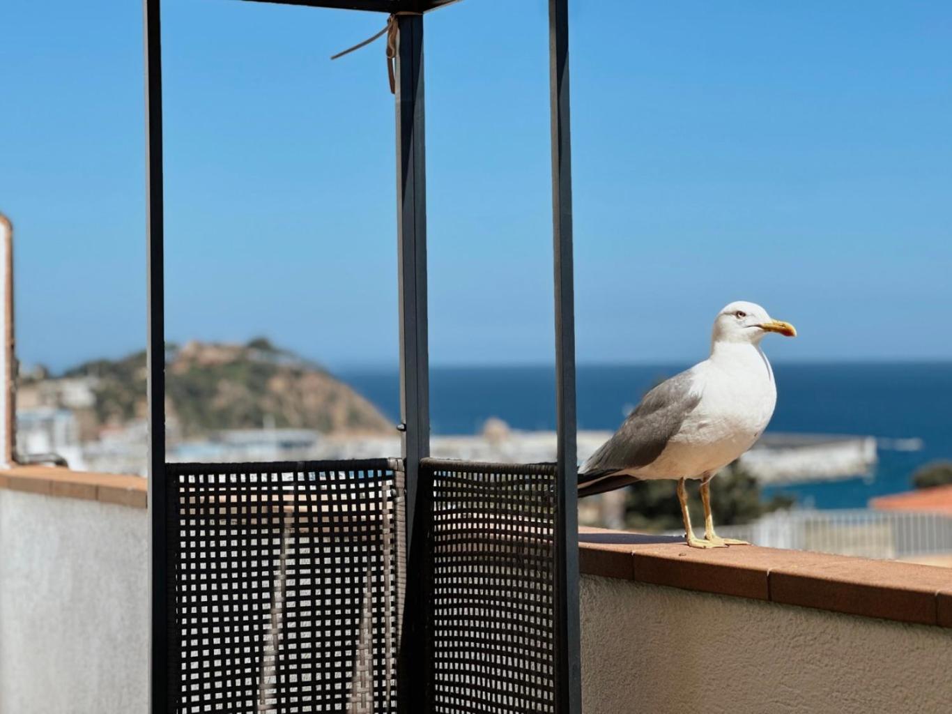 Ático con Vistas al Mar a un Paso del Centro Apartamento Blanes Exterior foto